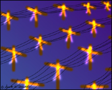�They�re only sleeping� by Annette Shacklett